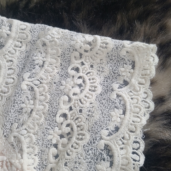 Opaque Clip dress - Picture 5 of 17